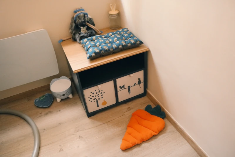 Chambre Calidà : armoire bleu marine et coussin en forme de carotte pour lapin — pension chat et lapin à Nîmes