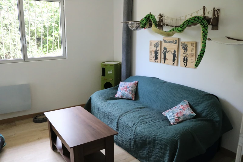 Chambre Jungle Geek : ambiance générale de la chambre et de son canapé — pension chat et lapin à Nîmes