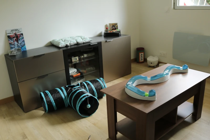Chambre Jungle Geek : tunnel de jeu et fontaine à eau pour chat — pension chat et lapin à Nîmes