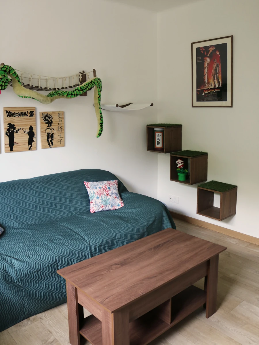 Chambre Jungle Geek : chat acrobate sur la passerelle en hauteur — pension chat et lapin à Nîmes