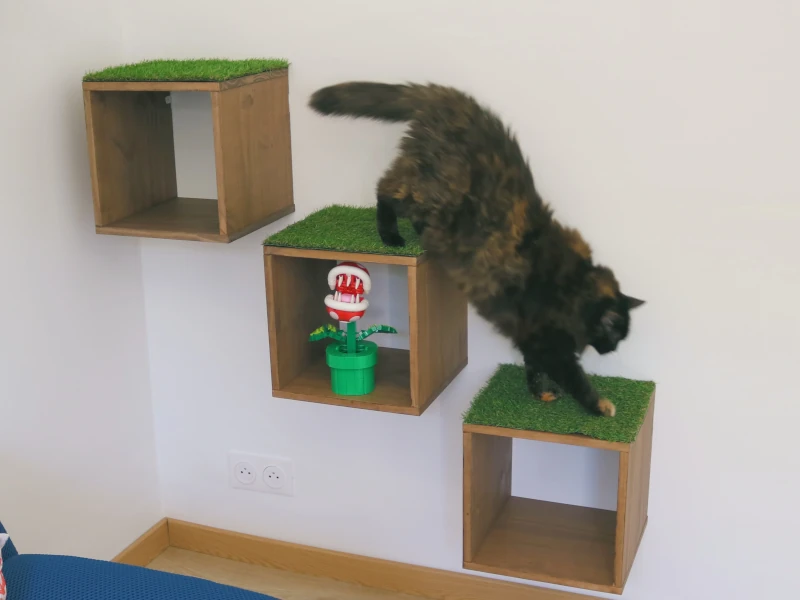 Chambre Jungle Geek : chat installé sur éléments de jeux — pension chat et lapin à Nîmes